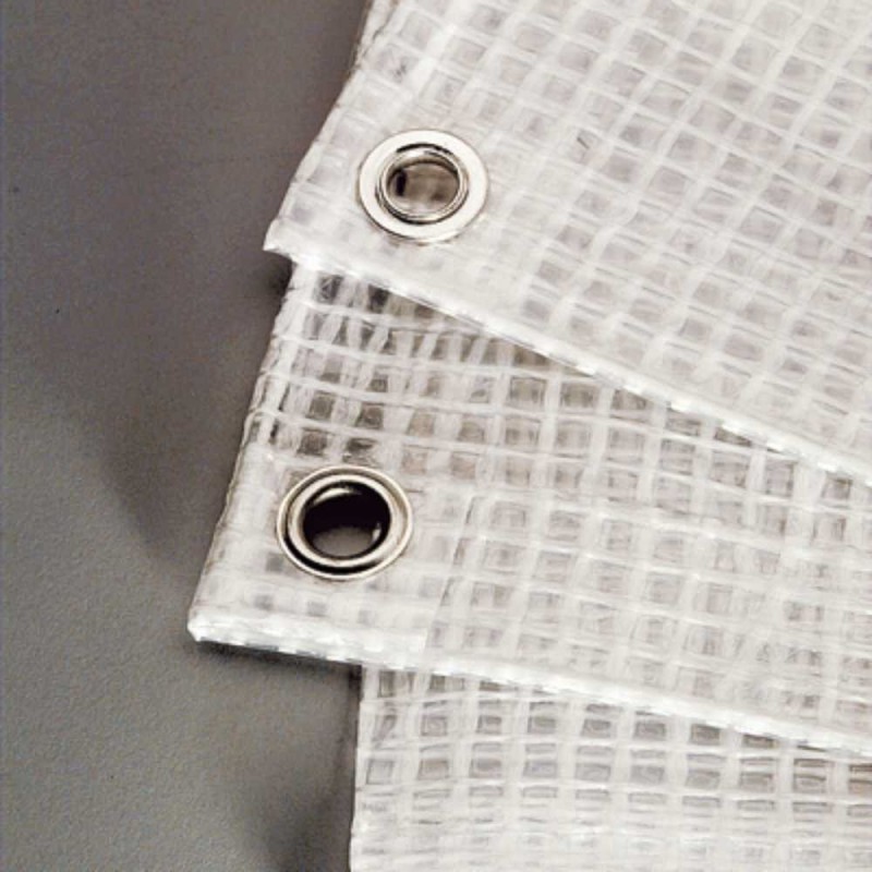Bâche transparente imperméable avec œillets 2 x 4 m, grande bâche, bâche en  tissu