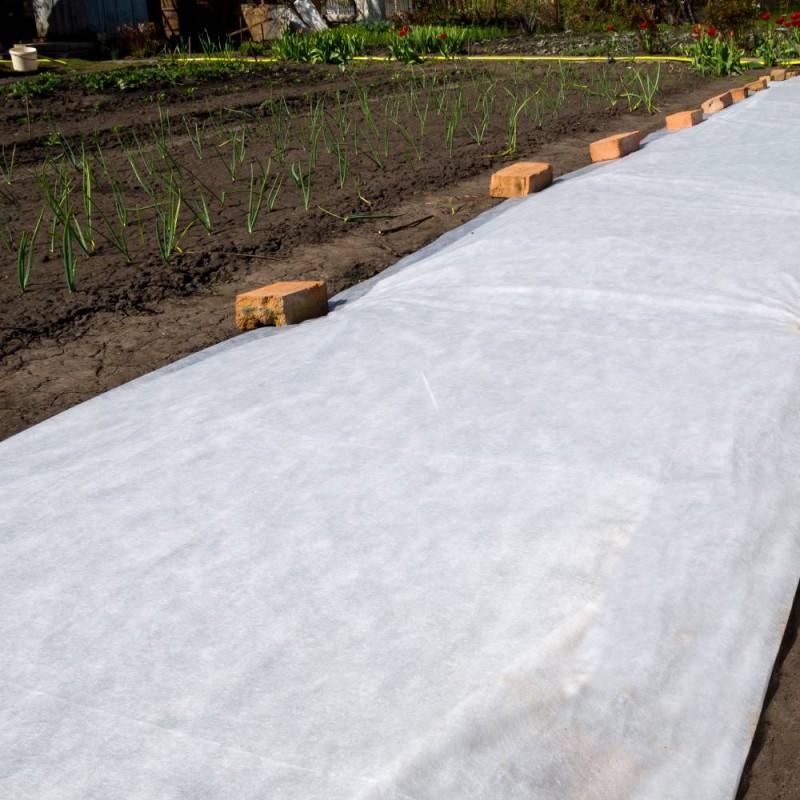 Voile d'hivernage L.5 m x2 - Outils de jardinage - Aménagement de