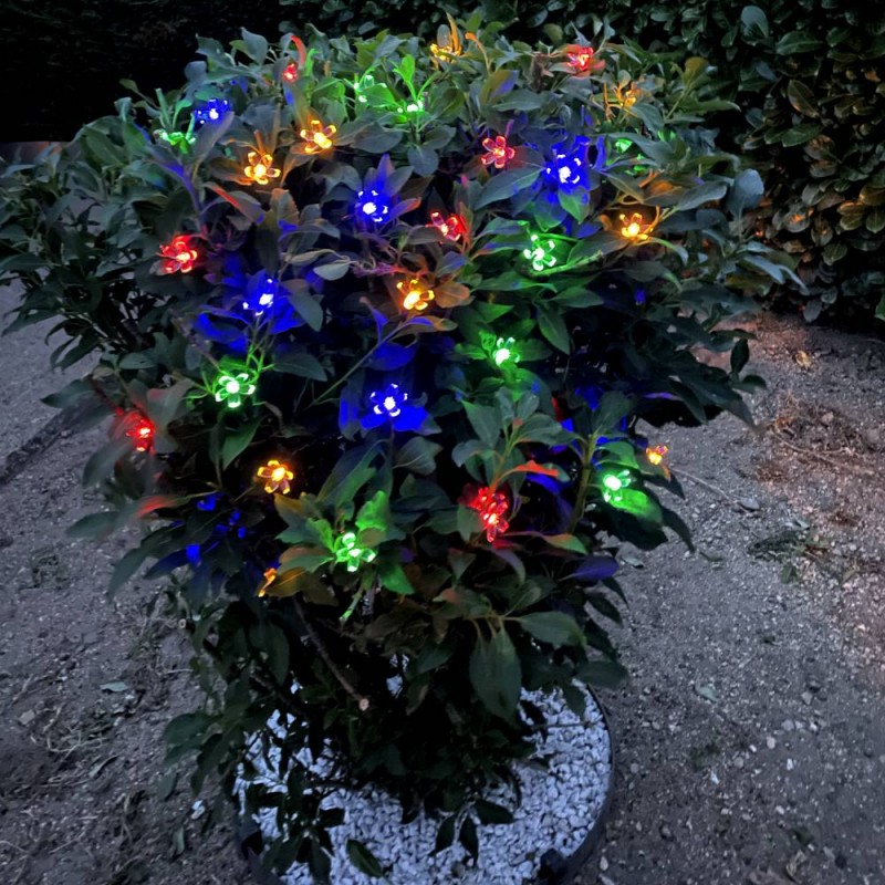 2 Pièces Lumières de Fleurs Solaires avec 20 Guirlande Lumineuse à LED  Multicolore avec Fleur de
