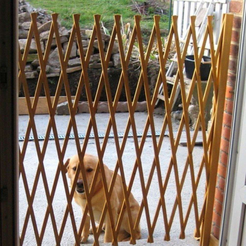 Barrière et escalier pour chien