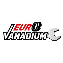EURO VANADIUM - Embout de gonflage pour compresseur- Lot de 2
